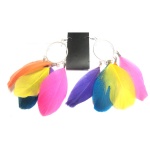 Colorful Feather Loop Earrings