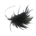 Black Feather Fascinator Alice Band