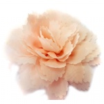 Multilayer Large Flower Hair Clip Alligator Clip